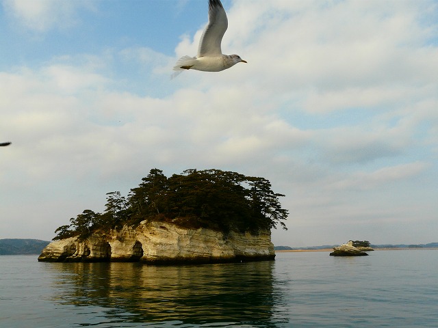 d0041158_14131221.jpg