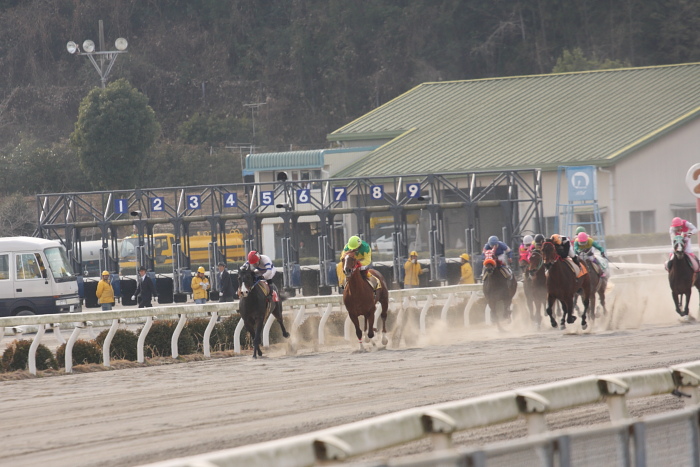 笹木美典騎手、高知競馬3勝目～_a0077663_19101728.jpg