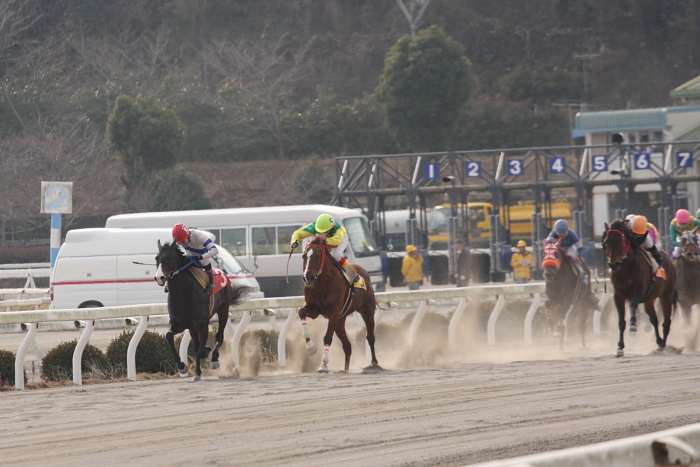 笹木美典騎手、高知競馬3勝目～_a0077663_19103868.jpg