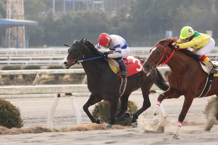 笹木美典騎手、高知競馬3勝目～_a0077663_19104617.jpg