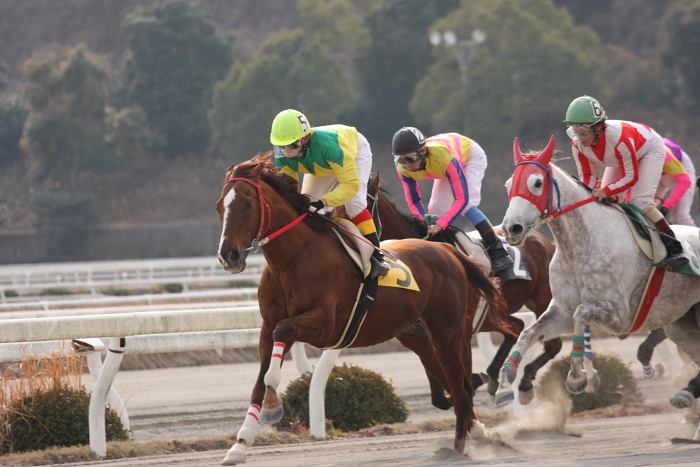 笹木美典騎手、高知競馬3勝目～_a0077663_1910911.jpg