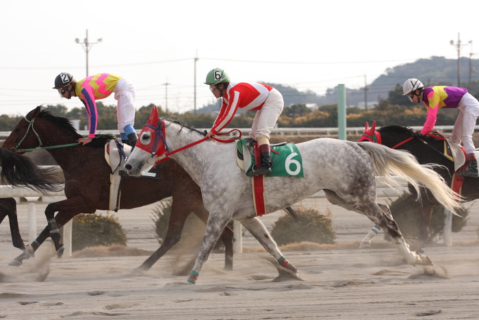 笹木美典騎手、高知競馬3勝目~_a0077663_1911314.jpg