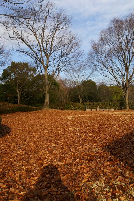 冬のお散歩～びわこ文化公園内_f0102363_19315339.jpg