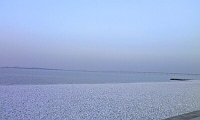 今日の帰り道_e0136066_17295831.jpg