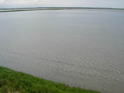 c0196074_21253643.jpg