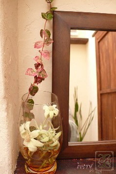 トイレにお花を Flower And Cafe 花空間 ｉｖｏｒｙ アイボリー