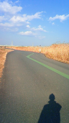 体力作りシリーズ 1_b0117785_16114241.jpg