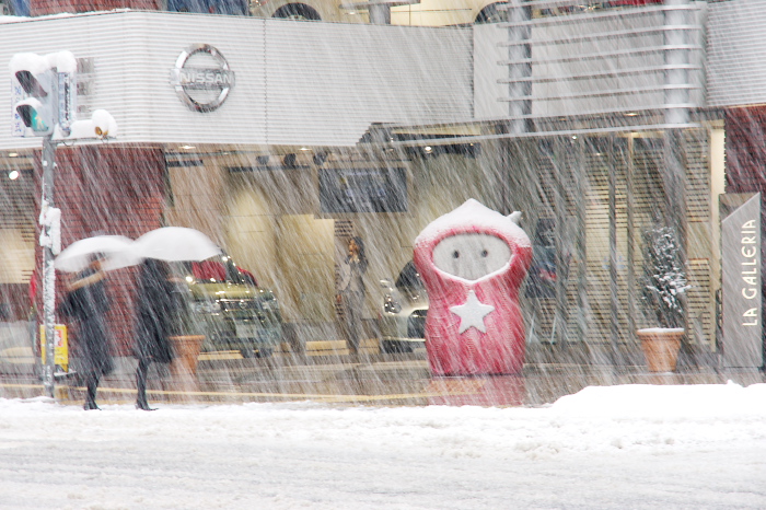 昨日の大雪（１/２０）_f0033205_2271458.jpg