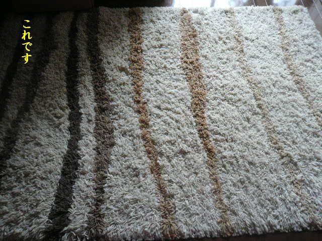 e0094407_0255568.jpg