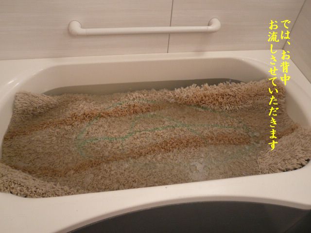 e0094407_0405988.jpg
