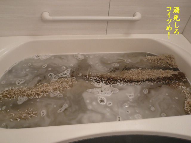 e0094407_0452862.jpg