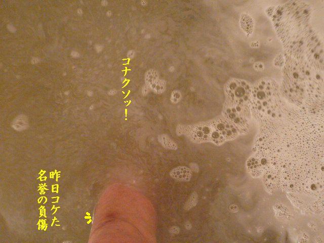 やればやるほど・・・_e0094407_051368.jpg