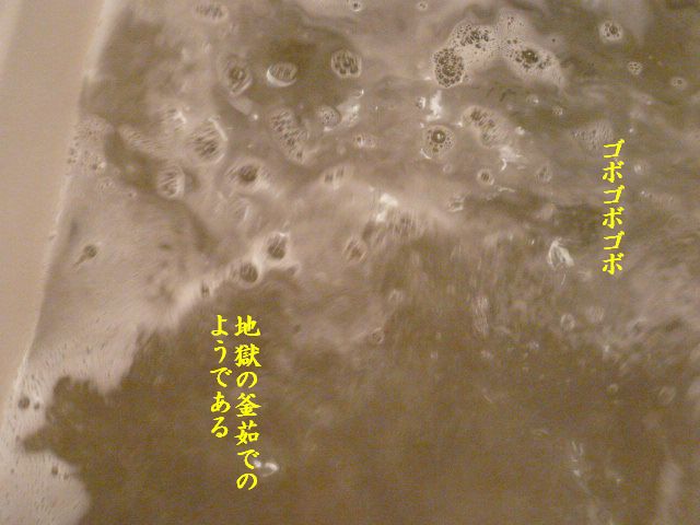 e0094407_0542153.jpg