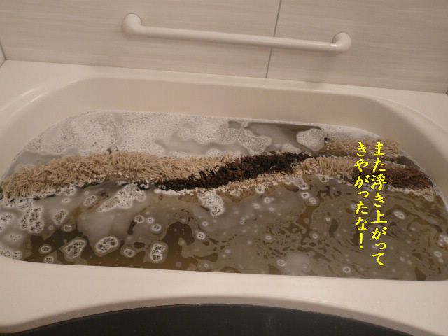 やればやるほど・・・_e0094407_0571395.jpg