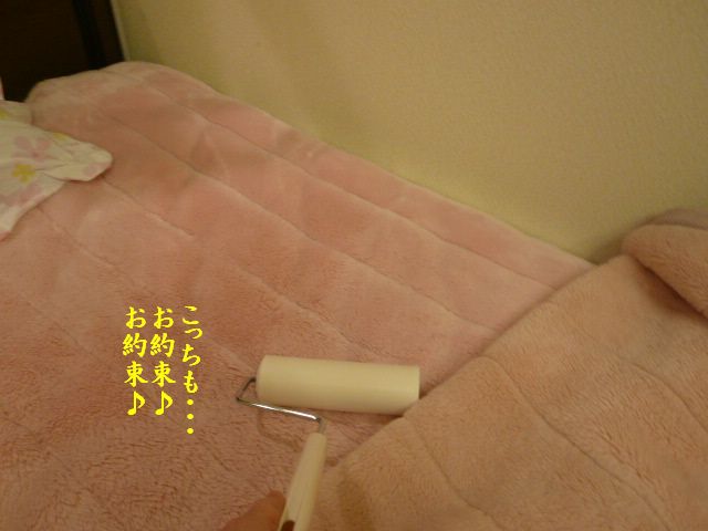 e0094407_1105279.jpg