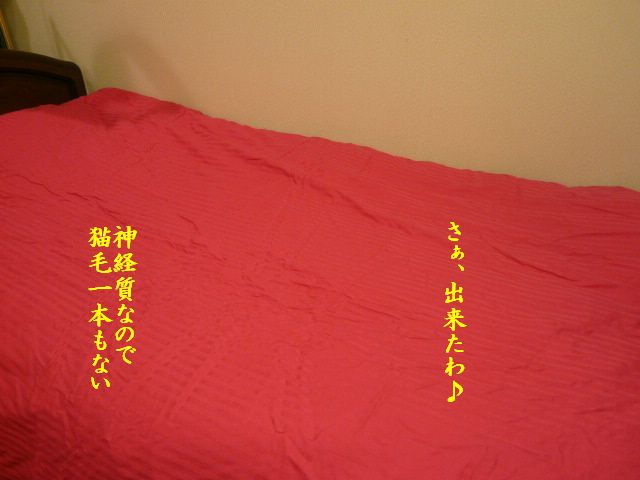 やればやるほど・・・_e0094407_1122326.jpg