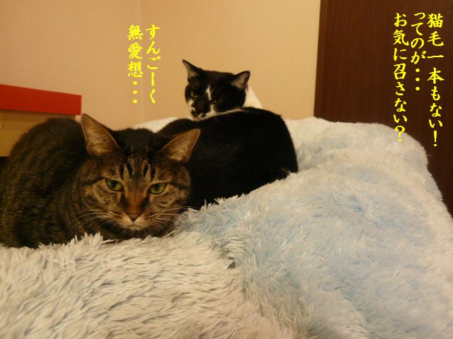 e0094407_1154237.jpg