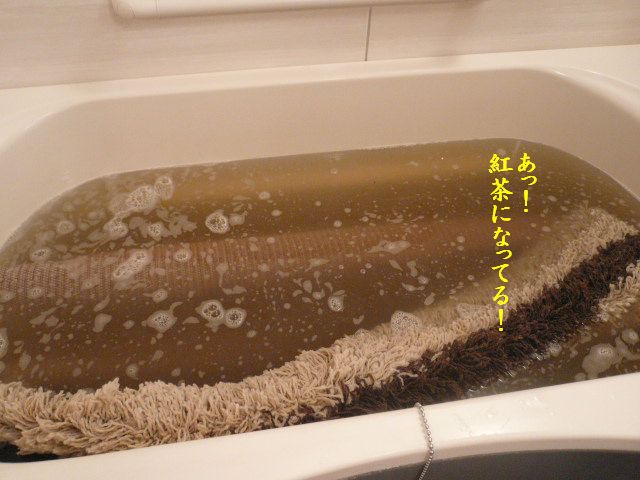 e0094407_1174247.jpg