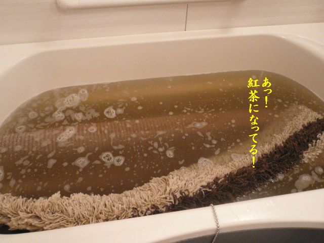 やればやるほど・・・_e0094407_1174247.jpg