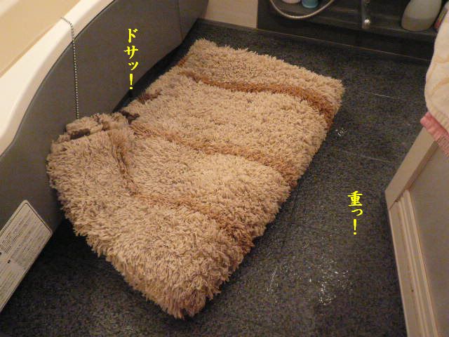 e0094407_1243685.jpg