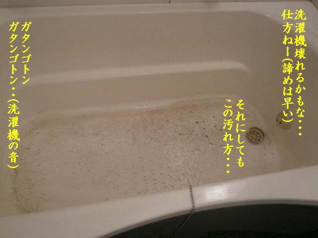 やればやるほど・・・_e0094407_1381675.jpg