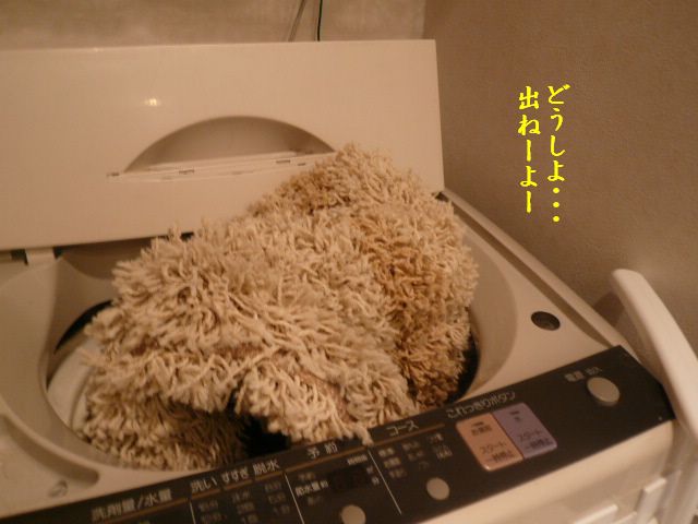 e0094407_14424100.jpg