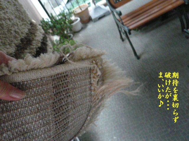 e0094407_1541239.jpg