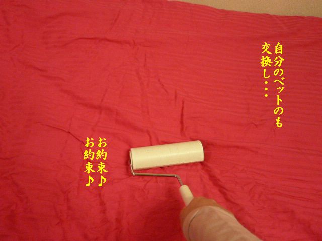 e0094407_193640.jpg