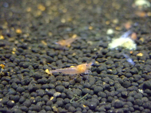 f0152308_19153025.jpg