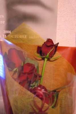 a0088412_2532258.jpg