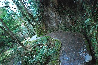 投稿カメラマン風情_c0116714_1585080.jpg