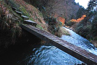 投稿カメラマン風情_c0116714_2151482.jpg