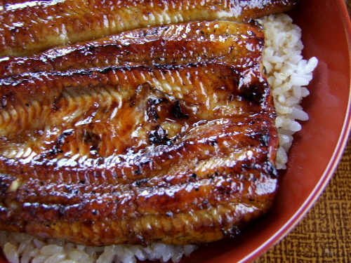 静岡 三島 うなぎ 元祖うなよしのうな丼ランチ じぶん日記
