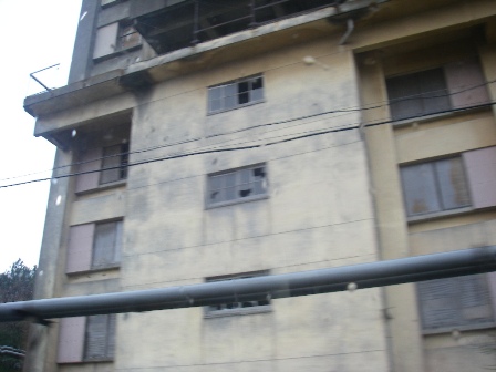 f0000330_1724257.jpg