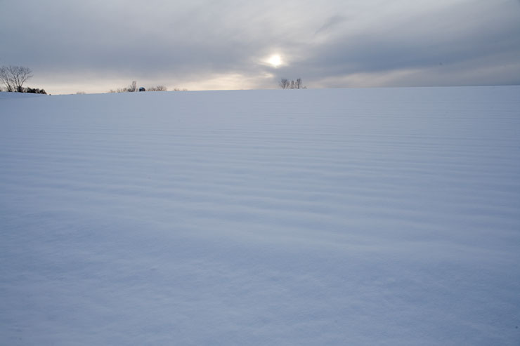 f0080743_23384176.jpg