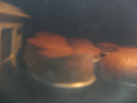 c0073649_1463777.jpg