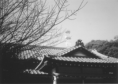 ◆FLASH FUJICA AF ~初撮り・モノクローム編_b0008655_18311587.jpg