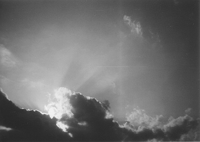 ◆FLASH FUJICA AF ~初撮り・モノクローム編_b0008655_18343749.jpg