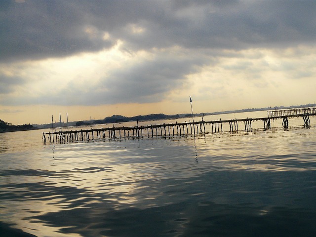 d0041158_4541559.jpg