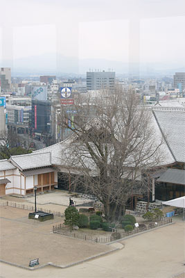 特別公開・熊本城小天守閣より　Ⅰ_c0152779_15283159.jpg