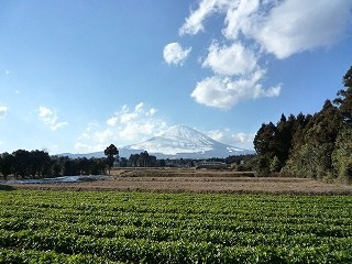 富士山の湧水と御殿場小山の水菜(水かけ菜)_c0160488_10512030.jpg