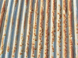 トタン屋根の塗替え 錆の発生と汚れの付着 大工さんが木造住宅作ってるよ