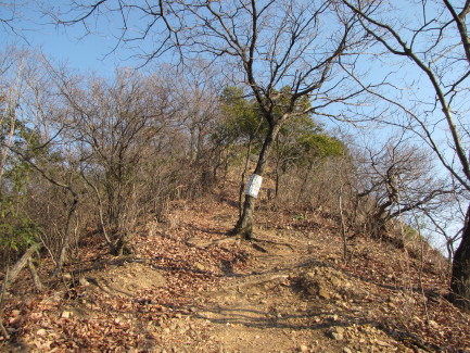 b0116703_1953146.jpg