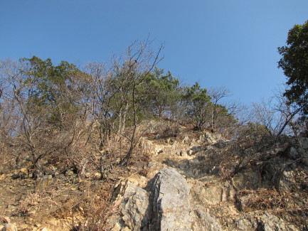 b0116703_19533110.jpg