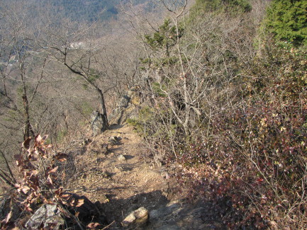 b0116703_195491.jpg