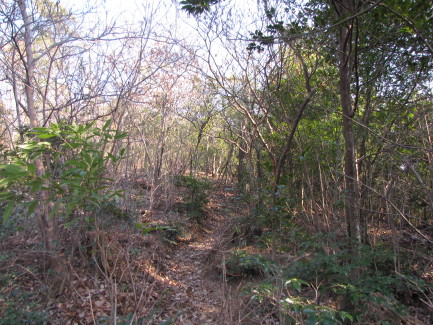 b0116703_2014472.jpg