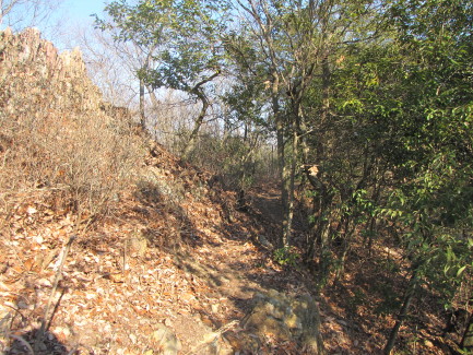 b0116703_202044.jpg