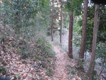 b0116703_2022867.jpg