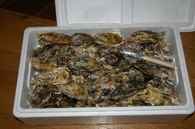 ２００９　冬の味覚　～牡蠣～_e0020210_23491556.jpg