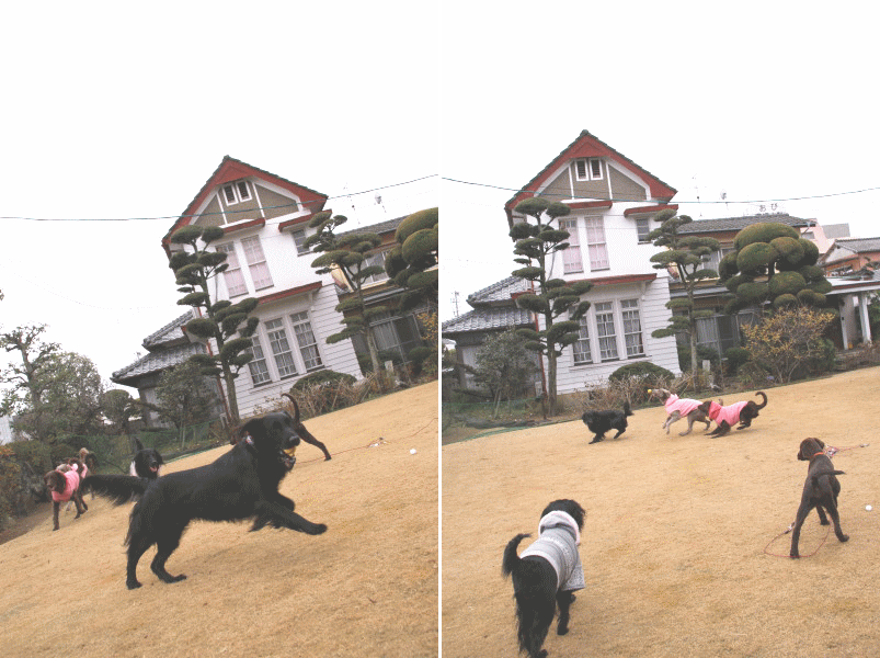 c0017311_1852821.gif